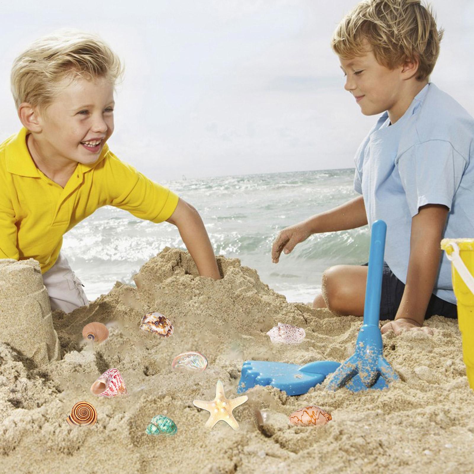 ปฏิทินเปลือกหอย 2025 นับถอยหลั - Kids Toys Christmas 2025 บทวิจารณ์และราคา