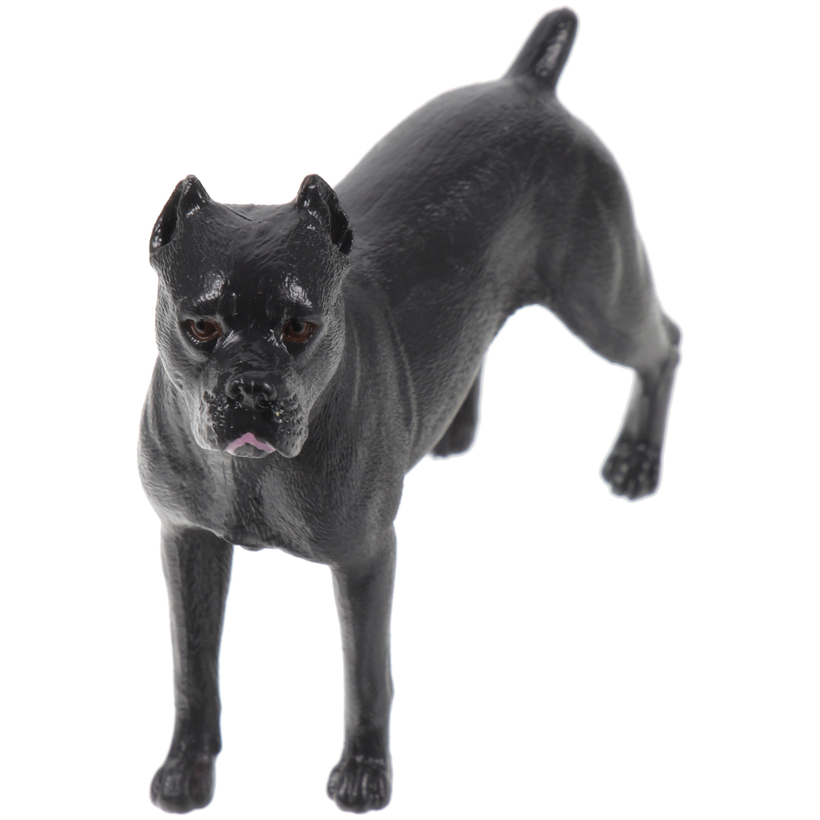 โมเดลจำลองสุนัข Casro ทำจากพลา - Kids Toys Dog บทวิจารณ์และราคา